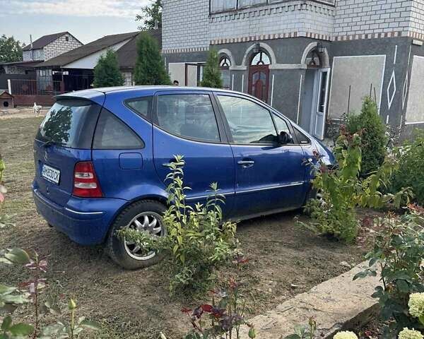 Мерседес А класс 2001 в Коростышеве на Automoto.ua Синий Мерседес А класс, объемом двигателя 1.4 л и пробегом 200 тыс. км за 1600 $, фото 2 на Automoto.ua