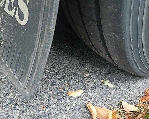 Красный Мерседес Актрос, объемом двигателя 12 л и пробегом 300 тыс. км за 30000 $, фото 5 на Automoto.ua