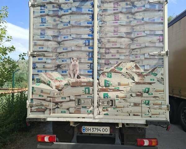 Белый Мерседес Атего, объемом двигателя 5.13 л и пробегом 260 тыс. км за 22000 $, фото 9 на Automoto.ua