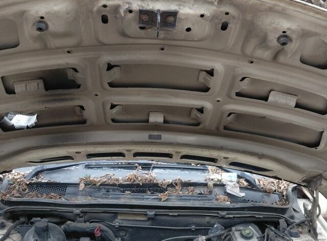 Бежевый Мерседес Б-класс, объемом двигателя 1.99 л и пробегом 300 тыс. км за 1850 $, фото 6 на Automoto.ua