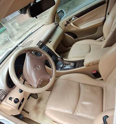 Мерседес Ц-Класс 2004 в Ивано-Франковске на Automoto.ua Белый Мерседес Ц-Класс, объемом двигателя 2.5 л и пробегом 200 тыс. км за 7400 $, фото 3 на Automoto.ua