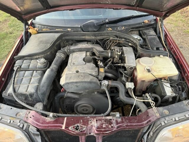 Червоний Мерседес Ц-Клас, об'ємом двигуна 2 л та пробігом 370 тис. км за 2600 $, фото 12 на Automoto.ua