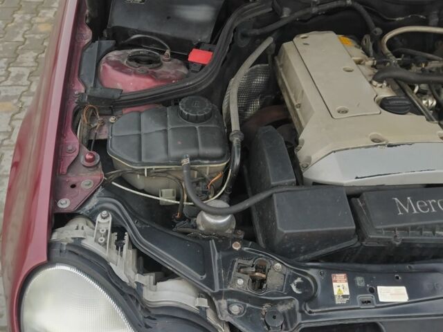 Красный Мерседес Ц-Класс, объемом двигателя 2 л и пробегом 376 тыс. км за 3900 $, фото 13 на Automoto.ua