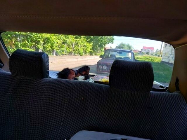 Мерседес Ц-Клас, об'ємом двигуна 3 л та пробігом 250 тис. км за 1000 $, фото 8 на Automoto.ua