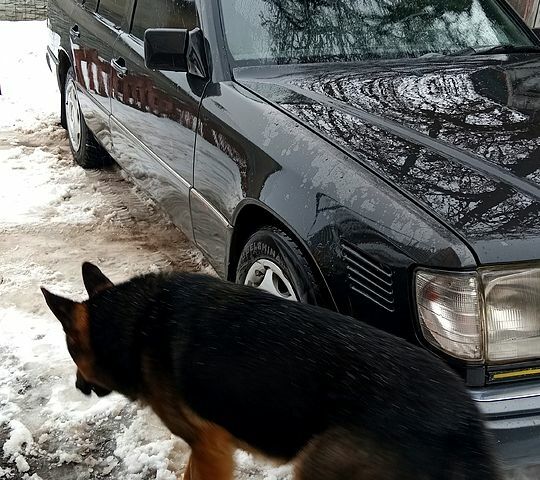 Мерседес Ц-Клас, об'ємом двигуна 2.5 л та пробігом 1 тис. км за 3000 $, фото 8 на Automoto.ua