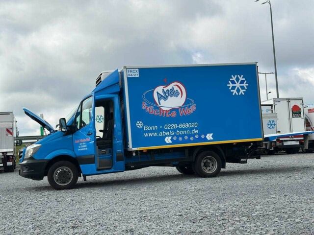 Мерседес Інша, об'ємом двигуна 6 л та пробігом 0 тис. км за 34900 $, фото 13 на Automoto.ua