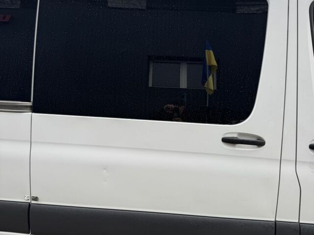 Мерседес Інша, об'ємом двигуна 0 л та пробігом 0 тис. км за 25000 $, фото 14 на Automoto.ua