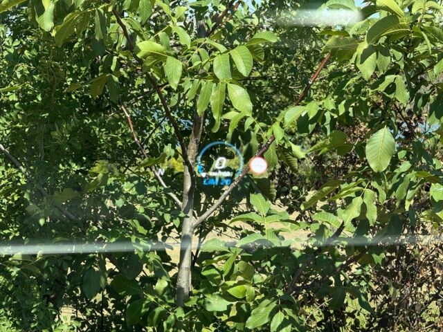 Сірий Мерседес Інша, об'ємом двигуна 0 л та пробігом 62 тис. км за 45500 $, фото 23 на Automoto.ua