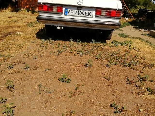 Белый Мерседес Е-Класс, объемом двигателя 3 л и пробегом 347 тыс. км за 2000 $, фото 1 на Automoto.ua