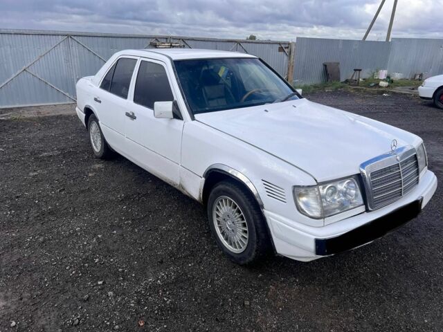 Мерседес Е-Клас 1985 у Броварах на Automoto.ua Білий Мерседес Е-Клас, об'ємом двигуна 3 л та пробігом 30 тис. км за 1700 $, фото 2 на Automoto.ua