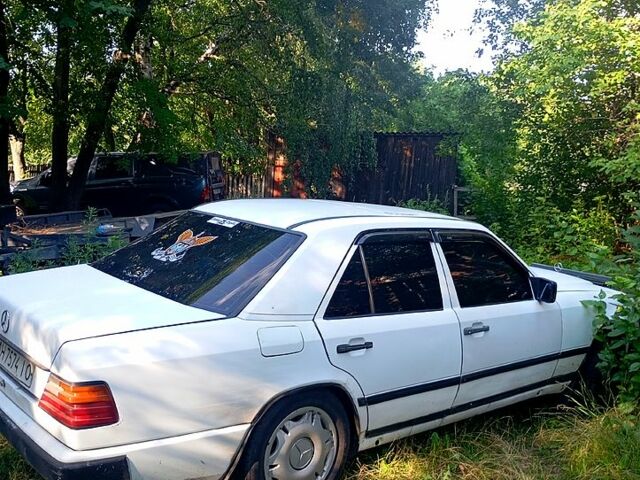 Мерседес Е-Класс 1986 в Полтаве на Automoto.ua Белый Мерседес Е-Класс, объемом двигателя 3 л и пробегом 585 тыс. км за 1700 $, фото 3 на Automoto.ua