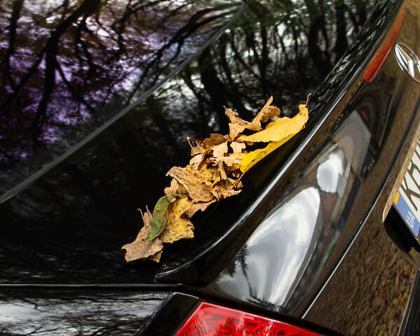 Чорний Мерседес Е-Клас, об'ємом двигуна 5 л та пробігом 202 тис. км за 15000 $, фото 9 на Automoto.ua