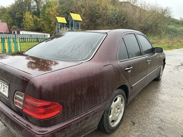 Мерседес Е-Класс 1998 в Остоге на Automoto.ua Красный Мерседес Е-Класс, объемом двигателя 2.7 л и пробегом 3 тыс. км за 2100 $, фото 5 на Automoto.ua