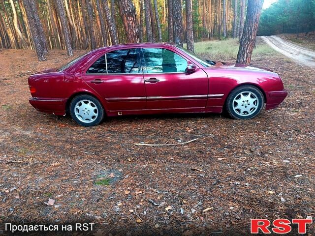 Мерседес Е-Класс 2001 в Котельве на Automoto.ua Красный Мерседес Е-Класс, объемом двигателя 2.6 л и пробегом 0 тыс. км за 3400 $, фото 2 на Automoto.ua
