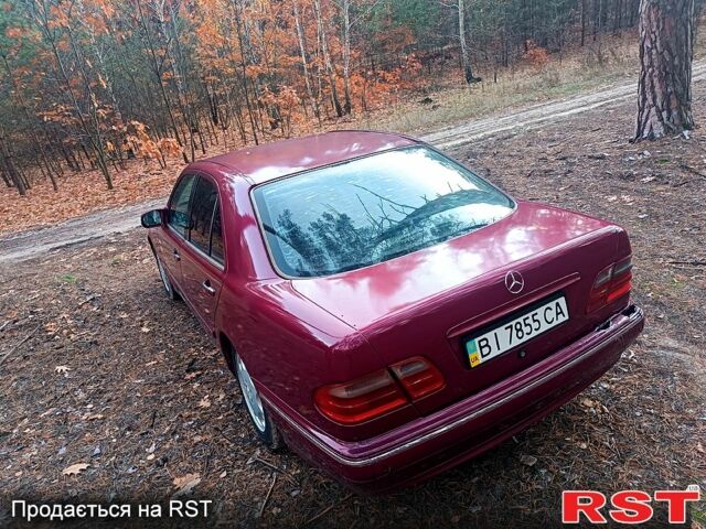 Мерседес Е-Класс 2001 в Котельве на Automoto.ua Красный Мерседес Е-Класс, объемом двигателя 2.6 л и пробегом 0 тыс. км за 3400 $, фото 4 на Automoto.ua