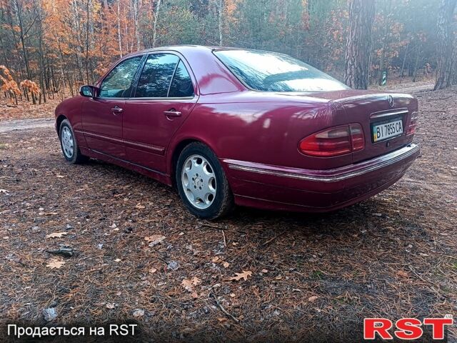 Мерседес Е-Класс 2001 в Котельве на Automoto.ua Красный Мерседес Е-Класс, объемом двигателя 2.6 л и пробегом 0 тыс. км за 3400 $, фото 5 на Automoto.ua
