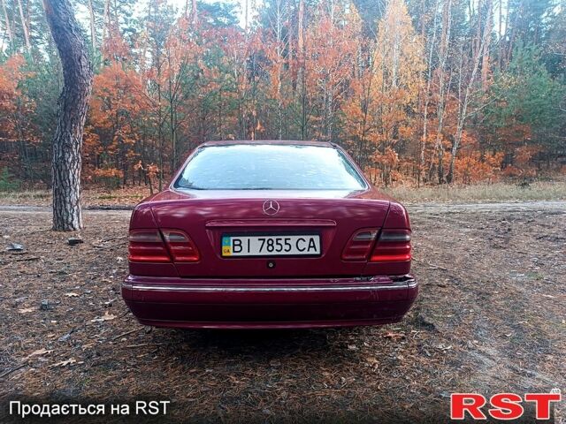 Мерседес Е-Класс 2001 в Котельве на Automoto.ua Красный Мерседес Е-Класс, объемом двигателя 2.6 л и пробегом 0 тыс. км за 3400 $, фото 3 на Automoto.ua