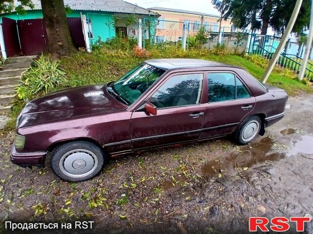 Мерседес Е-Класс, объемом двигателя 2.5 л и пробегом 480 тыс. км за 2000 $, фото 3 на Automoto.ua