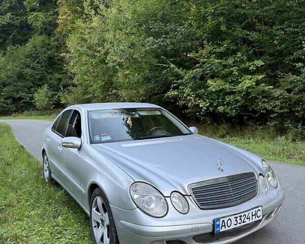 Мерседес Е-Клас 2005 у Хусте на Automoto.ua Мерседес Е-Клас, об'ємом двигуна 2.2 л та пробігом 437 тис. км за 4800 $, фото 2 на Automoto.ua