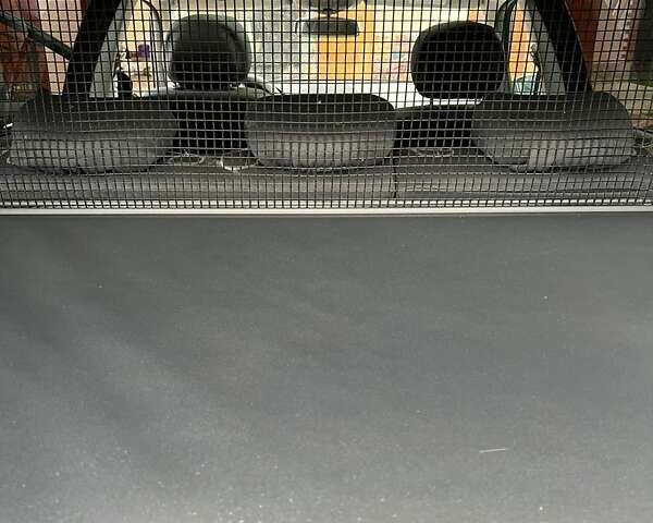 Мерседес Е-Класс, объемом двигателя 1.8 л и пробегом 205 тыс. км за 6350 $, фото 21 на Automoto.ua