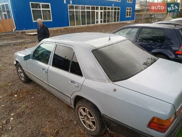 Мерседес Е-Класс 1988 в Борисполе на Automoto.ua Серый Мерседес Е-Класс, объемом двигателя 2.3 л и пробегом 270 тыс. км за 2500 $, фото 4 на Automoto.ua