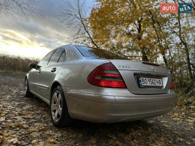 Мерседес Е-Клас 2004 у Тернополі на Automoto.ua Сірий Мерседес Е-Клас, об'ємом двигуна 2.2 л та пробігом 333 тис. км за 5750 $, фото 14 на Automoto.ua