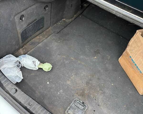 Серый Мерседес Е-Класс, объемом двигателя 3.2 л и пробегом 500 тыс. км за 6000 $, фото 32 на Automoto.ua