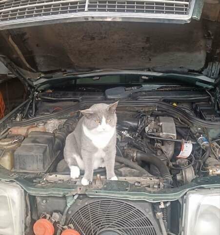 Зелений Мерседес Е-Клас, об'ємом двигуна 2.2 л та пробігом 549 тис. км за 3200 $, фото 11 на Automoto.ua