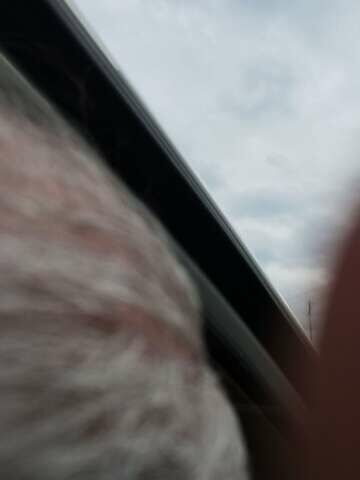 Белый Мерседес ГЛ-класс, объемом двигателя 3 л и пробегом 255 тыс. км за 24300 $, фото 20 на Automoto.ua