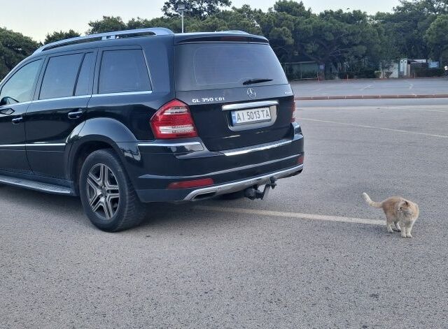 Мерседес ГЛ-Клас 2011 у Броварах на Automoto.ua Чорний Мерседес ГЛ-Клас, об'ємом двигуна 3 л та пробігом 365 тис. км за 18200 $, фото 8 на Automoto.ua