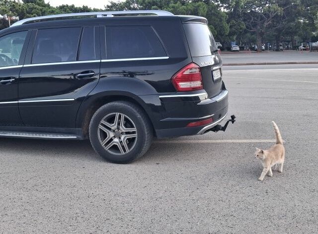 Мерседес ГЛ-Клас 2011 у Броварах на Automoto.ua Чорний Мерседес ГЛ-Клас, об'ємом двигуна 3 л та пробігом 365 тис. км за 18200 $, фото 5 на Automoto.ua