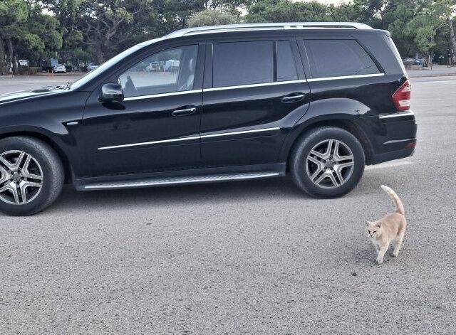 Мерседес ГЛ-Клас 2011 у Броварах на Automoto.ua Чорний Мерседес ГЛ-Клас, об'ємом двигуна 3 л та пробігом 365 тис. км за 18200 $, фото 6 на Automoto.ua