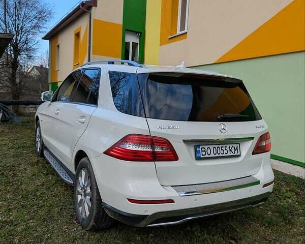 Белый Мерседес М-Класс, объемом двигателя 2.14 л и пробегом 200 тыс. км за 19800 $, фото 8 на Automoto.ua