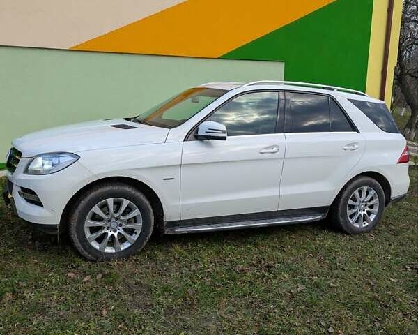 Белый Мерседес М-Класс, объемом двигателя 2.14 л и пробегом 200 тыс. км за 19800 $, фото 9 на Automoto.ua