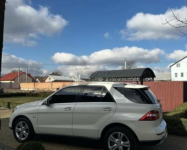 Білий Мерседес М-Клас, об'ємом двигуна 3 л та пробігом 270 тис. км за 17500 $, фото 7 на Automoto.ua