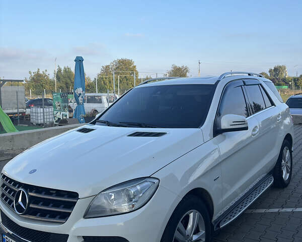 Мерседес М-Класс 2012 в Нововолынск на Automoto.ua Белый Мерседес М-Класс, объемом двигателя 3.5 л и пробегом 195 тыс. км за 20000 $, фото 4 на Automoto.ua