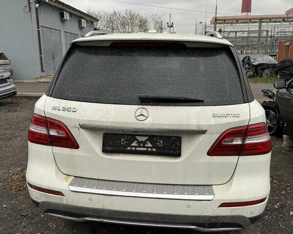 Белый Мерседес М-Класс, объемом двигателя 2.14 л и пробегом 146 тыс. км за 11200 $, фото 3 на Automoto.ua