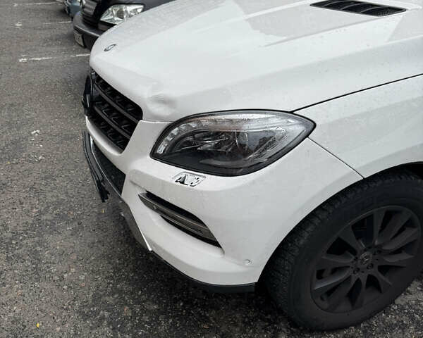 Белый Мерседес М-Класс, объемом двигателя 2.14 л и пробегом 255 тыс. км за 17500 $, фото 11 на Automoto.ua