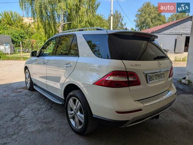 Белый Мерседес М-Класс, объемом двигателя 3 л и пробегом 340 тыс. км за 20500 $, фото 37 на Automoto.ua