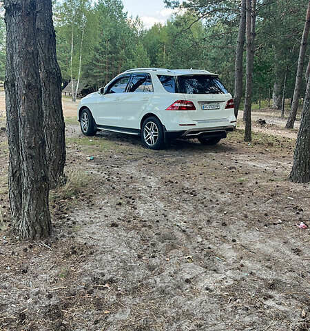 Белый Мерседес М-Класс, объемом двигателя 2.99 л и пробегом 248 тыс. км за 24500 $, фото 19 на Automoto.ua