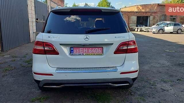 Білий Мерседес М-Клас, об'ємом двигуна 3 л та пробігом 54 тис. км за 23300 $, фото 11 на Automoto.ua