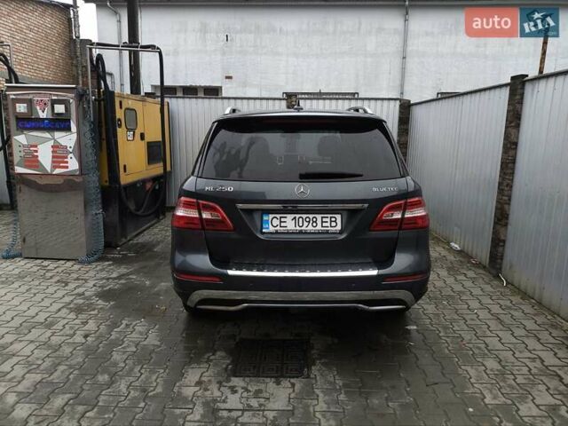 Черный Мерседес М-Класс, объемом двигателя 2.14 л и пробегом 245 тыс. км за 20000 $, фото 5 на Automoto.ua