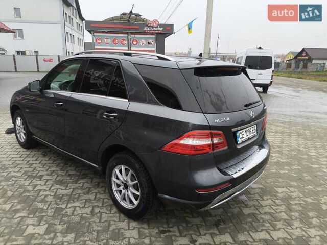 Черный Мерседес М-Класс, объемом двигателя 2.14 л и пробегом 245 тыс. км за 20000 $, фото 4 на Automoto.ua