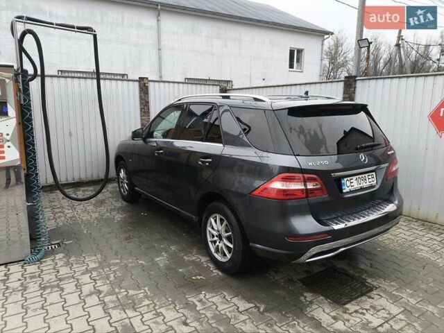Черный Мерседес М-Класс, объемом двигателя 2.14 л и пробегом 245 тыс. км за 20000 $, фото 3 на Automoto.ua