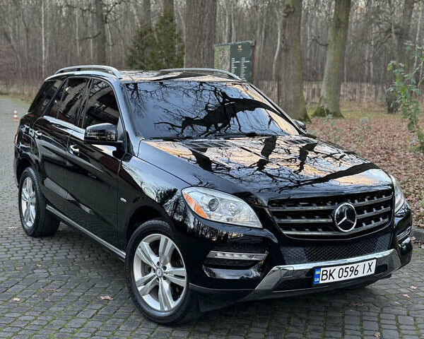 Черный Мерседес М-Класс, объемом двигателя 3 л и пробегом 274 тыс. км за 19700 $, фото 29 на Automoto.ua