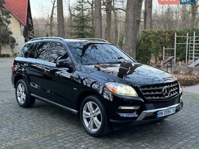 Черный Мерседес М-Класс, объемом двигателя 3 л и пробегом 274 тыс. км за 19700 $, фото 13 на Automoto.ua