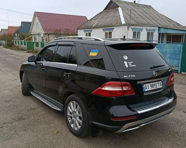 Черный Мерседес М-Класс, объемом двигателя 2.14 л и пробегом 172 тыс. км за 24000 $, фото 35 на Automoto.ua