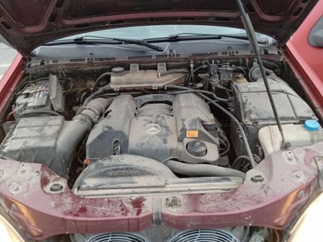 Красный Мерседес М-Класс, объемом двигателя 3.2 л и пробегом 264 тыс. км за 4850 $, фото 8 на Automoto.ua