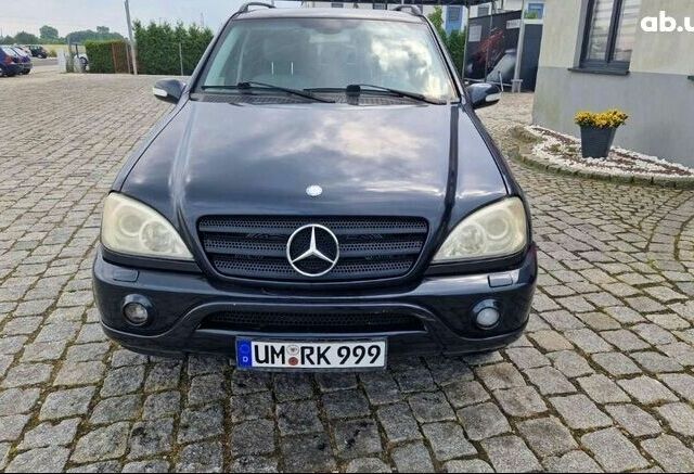 Мерседес М-Клас, об'ємом двигуна 0 л та пробігом 248 тис. км за 2400 $, фото 19 на Automoto.ua