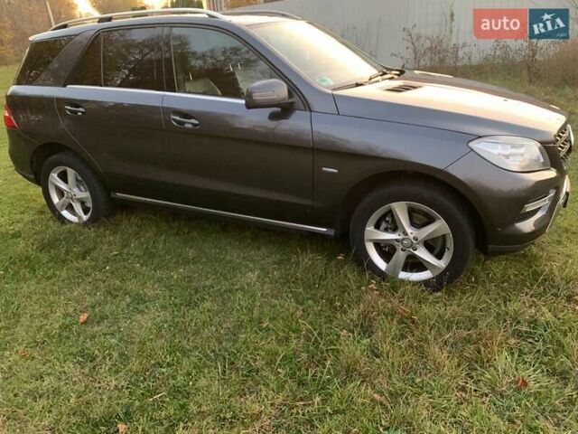 Серый Мерседес М-Класс, объемом двигателя 2.99 л и пробегом 209 тыс. км за 20700 $, фото 4 на Automoto.ua